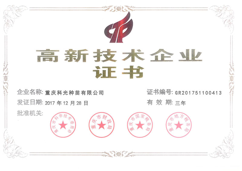 重庆市技术企业证书